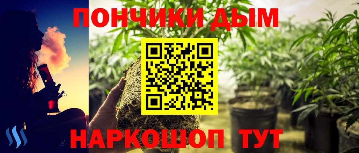 Алексеевка  Бошки Шишки планчик  Канабис план  Вход с VPN  Канабис конопля  Каннабис VHQ 